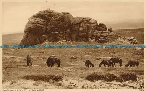 R048634 Dartmoor-Ponys bei Haytor Rocks. Photochrom. Nr. 71136