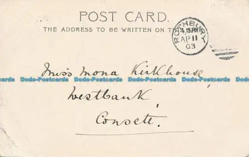 R049206 Rissseite. Rothbury. 1903