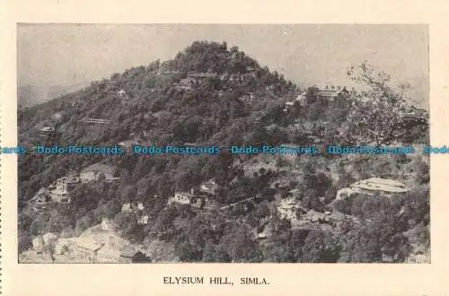 R060464 Elysium Hill. Simla. Dr. Yasin