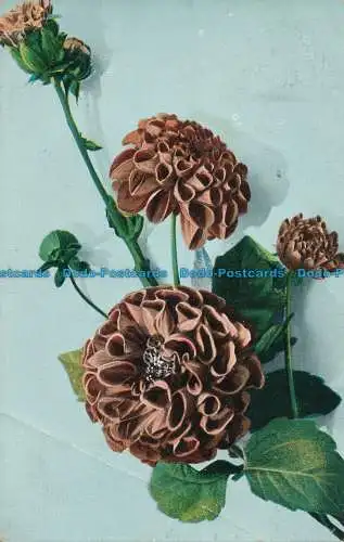 R060236 Alte Postkarte. Blumen. 1905