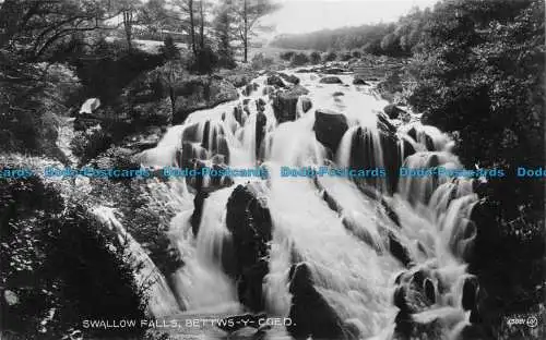 R061923 Schwalbenfälle. Bettws Y Coed. Valentinstag. XL. RP