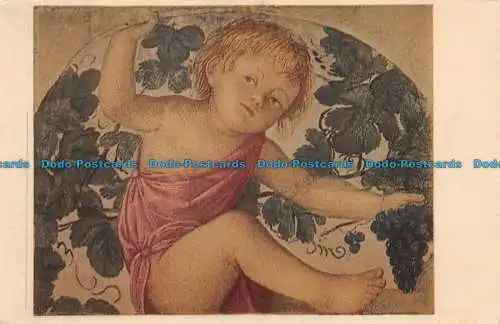 R061464 Putto mit Traube D. Bernardo Luini. Roberto Hoesch