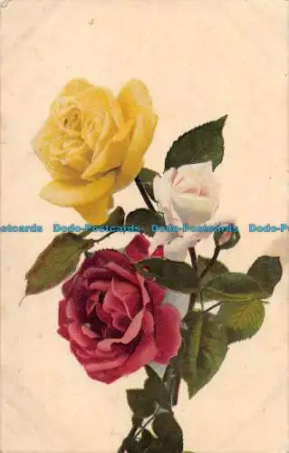 R062532 Alte Postkarte. Rosen. Max Ettlinger. Die königliche