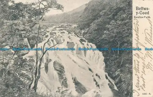 R061526 Bettws Y Coed. Swallow Falls. Pfau. 1904