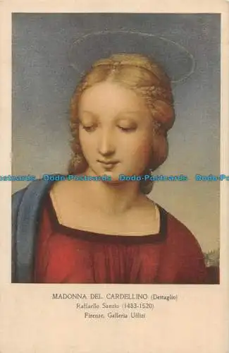 R061057 Madonna del Cardellino. Raffael Sanzio. Roberto Hoesch