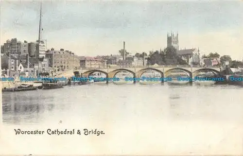 R061735 Worcester Kathedrale und Brücke