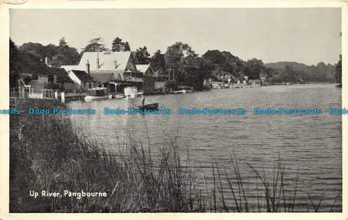 R062413 Up River. Pangbourne. 1952