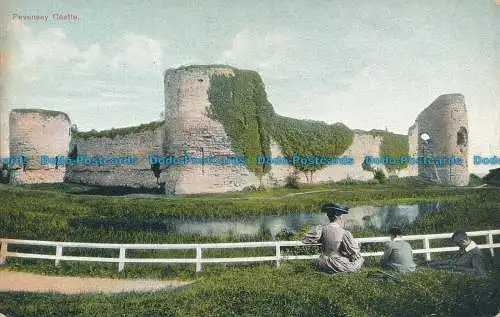 R062454 Pevensey Castle