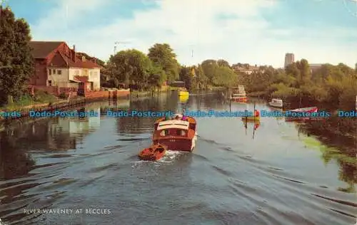 R063064 Flusswaveney in Beckles. Lachs. 1978