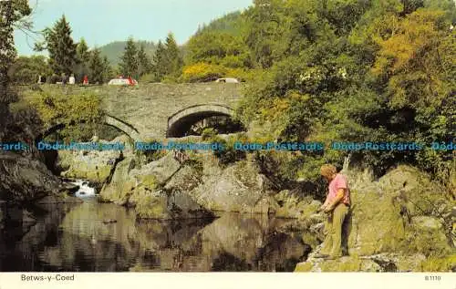 R063766 Bettws Y Coed. Dennis