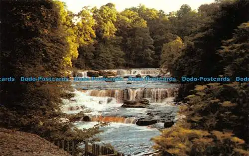 R063787 Upper Falls. Aysgarth. Fotopräzision