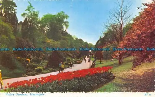 R063871 Valley Gardens. Harrogate. Valentinstag. Valchrom. 1964