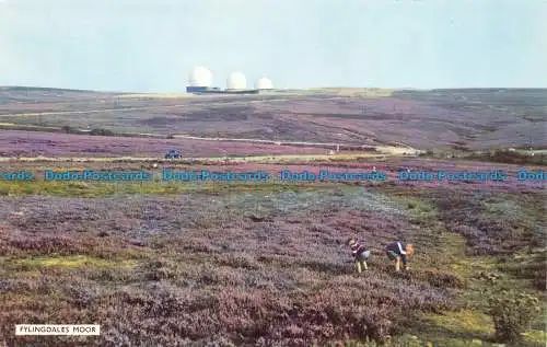 R063872 Fylingdales Moor. Dennis