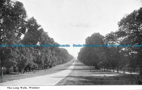 R063281 Der lange Weg. Windsor. 1906