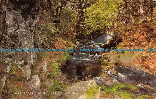 R063989 The Waterslide Doone Valley. Exmoor. Lachs