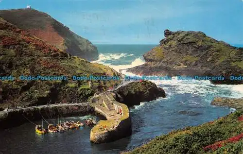 R064977 Willapark Point. Boscastle. Fotopräzigkeit. 1981