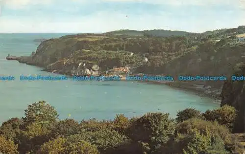 R064563 Babbacombe von Petit Tor Downs. 1959