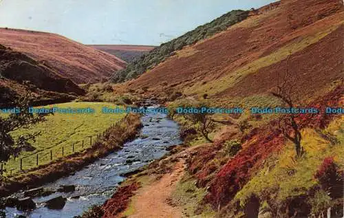 R064570 Das Doone Valley. Exmoor. Jarrold. Cotman Farbe. 1965