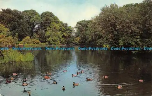 R064990 Der See. West Ewell. 1971