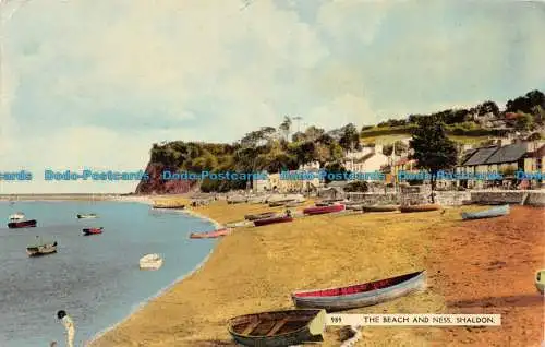 R064577 Der Strand und Ness. Shaldon. Dearden und Wade. Nr. 989. 1968