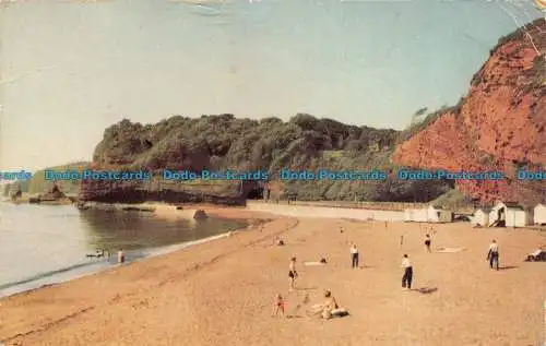 R064073 Coryton Cove. Dawlish. Jerome. 1963