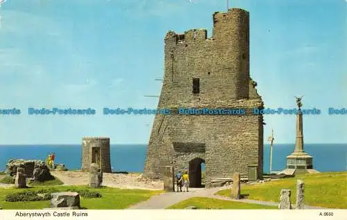 R064086 Burgruine Aberystwyth. Dennis