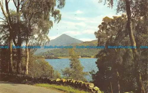 R064103 Schiehallion durch die Birken. Loch Rannoch. 1972