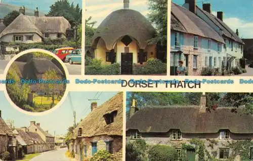 R064661 Dorset Thatch. Multi-View. Fotopräzigkeit. 1975