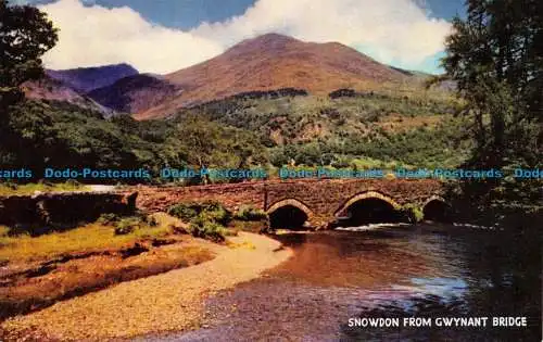 R064676 Snowdon von der Gwynant Bridge. Lachs