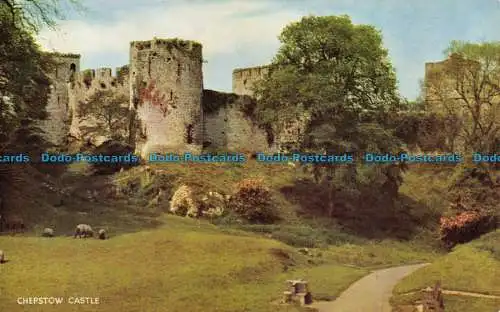 R064150 Conway Castle. Lachs