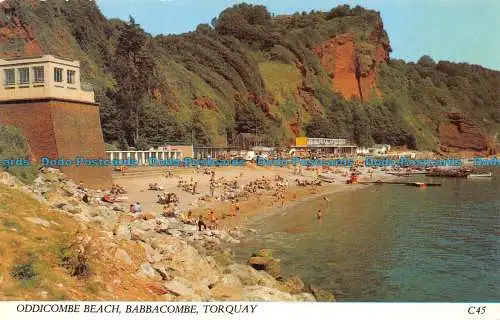 R064713 Oddicombe Beach. Babbacombe. Torquay. Ashton Reed