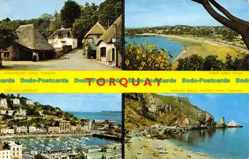 R064720 Torquay. Multi-View. Jarrold. RP. 1963