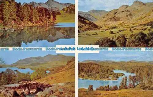 R064183 Lakeland. Multi-View. Webster. 1966