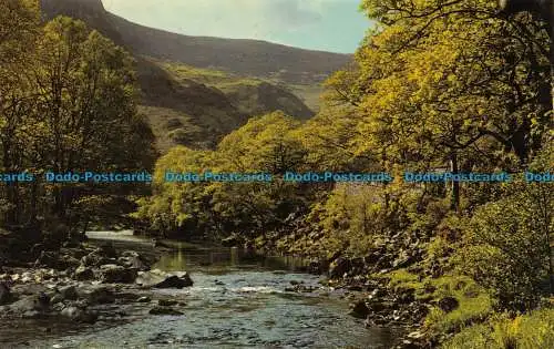 R065166 River Derwent. Ausgeliehen. Sanderson und Dixon. Jarrold