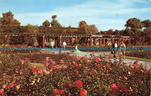 R064752 Fort Rose Gardens. Südsee. 1967