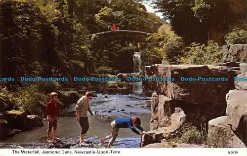 R065224 Der Wasserfall. Jesmond Dene. Newcastle Upon Tyne. Dennis