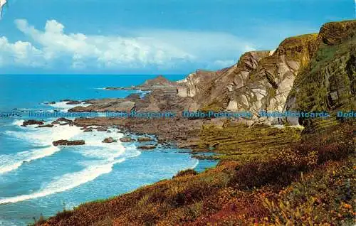 R065256 Hartland Quay. Fotopräzigkeit. 1981