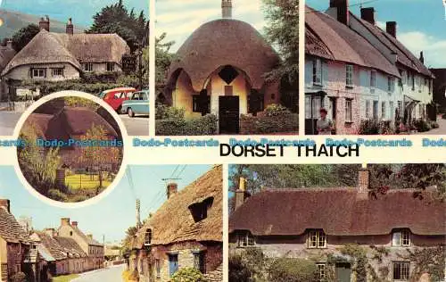 R065453 Dorset Thatch. Multi-View. Fotopräzigkeit. 1978