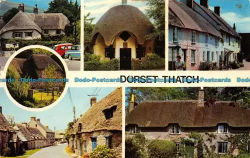 R065474 Dorset Thatch. Multi-View. Fotopräzigkeit. 1980