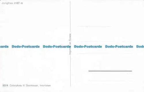 R065507 Jungfrau 4167m.H. Steinhauer