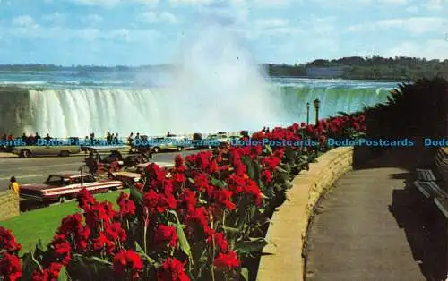 R065551 Hufeisenfälle aus dem Queen Victoria Park. Niagarafälle