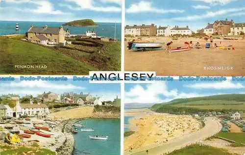 R065803 Anglesey. Multi-View. Lachs