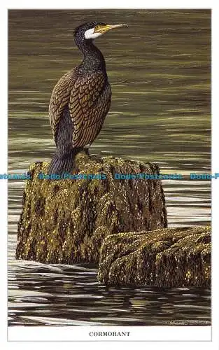 R074265 Kormoran. Geoff White