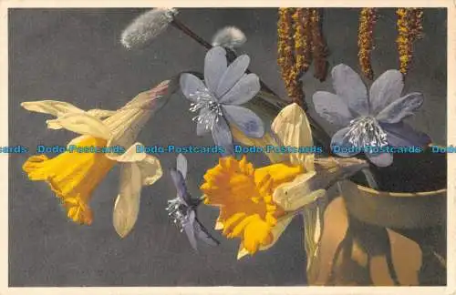 R074938 2491. Frühlingsblumen. E. Gyger