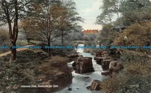 R075735 Jesmond Dene. Newcastle auf Tyne. Valentinstag