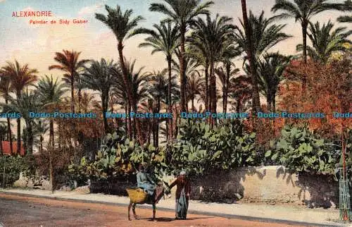 R074970 Alexandria. Palme von Sidy Gaber. Ephtimios Brüder