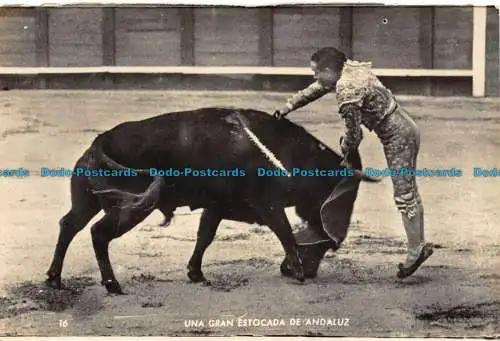 R076652 Ein großer andalusischer Stock. A. Zerkowitz