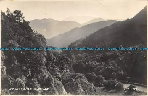 R077274 Borrowdale Birken. Valentinstag. RP