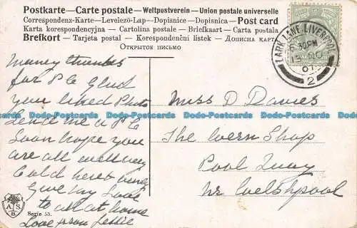 R075153 Gemälde. A.S.B. Serie 53. 1907. Postkarte