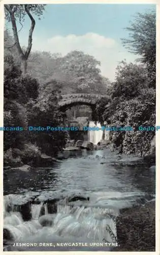 R076911 Jesmond Dene. Newcastle Upon Tyne. Dennis